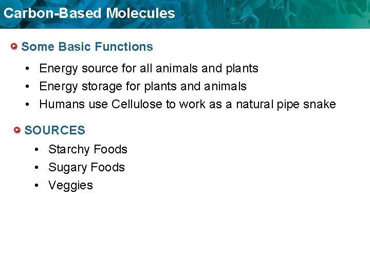 Carbon-Based Molecules Some Basic Functions • Energy source for all animals and plants •