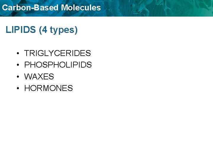 Carbon-Based Molecules LIPIDS (4 types) • • TRIGLYCERIDES PHOSPHOLIPIDS WAXES HORMONES 