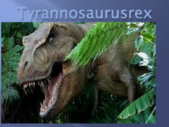 � Tyrannosaurusrex 