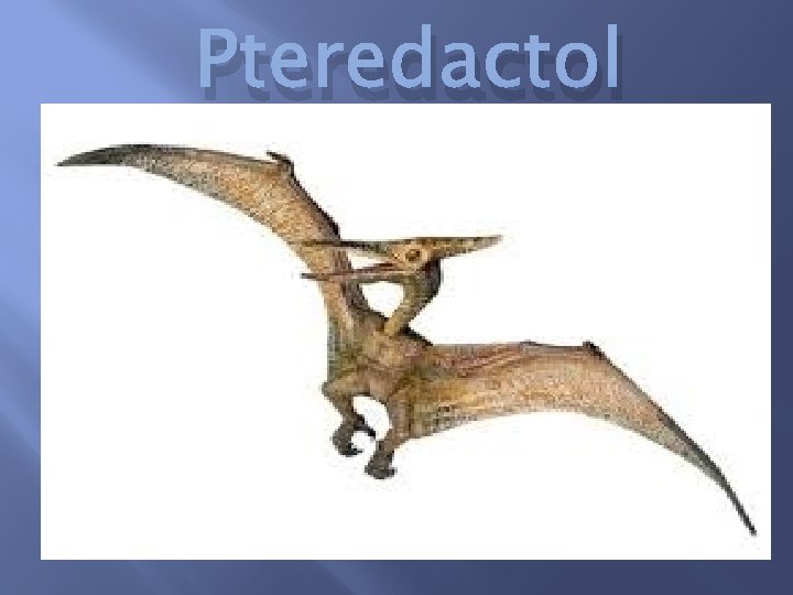 Pteredactol 