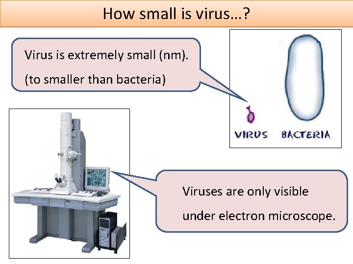 How small is virus…? Virus is extremely small (nm). (to smaller than bacteria) Viruses