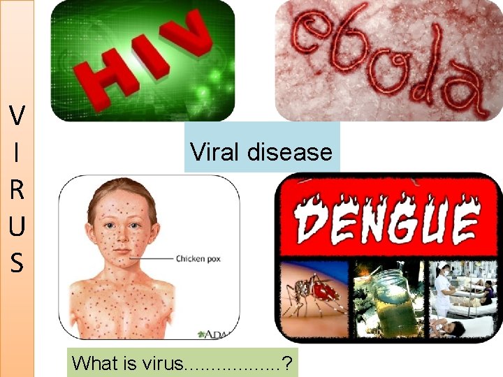 V I R U S Viral disease What is virus. . . . ?