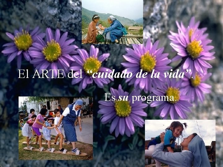 El ARTE del “cuidado de la vida”. Es su programa. 