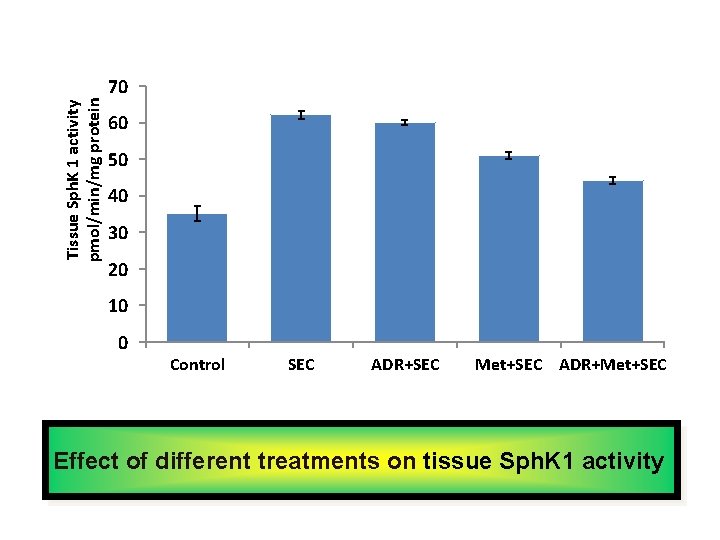 Tissue Sph. K 1 activity pmol/min/mg protein 70 60 50 40 30 20 10