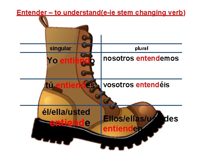 Entender – to understand(e-ie stem changing verb) singular plural Yo entiendo nosotros entendemos tú