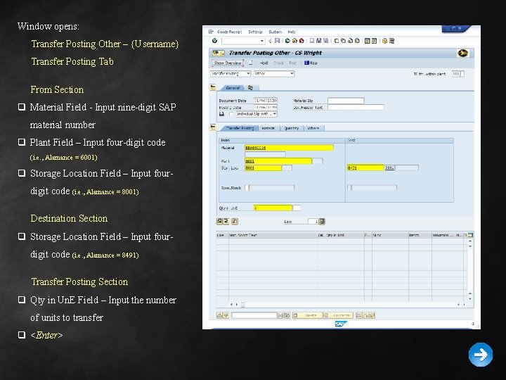 Window opens: Transfer Posting Other – {Username} Transfer Posting Tab From Section q Material