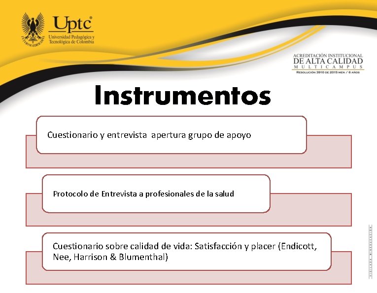 Instrumentos Cuestionario y entrevista apertura grupo de apoyo Protocolo de Entrevista a profesionales de