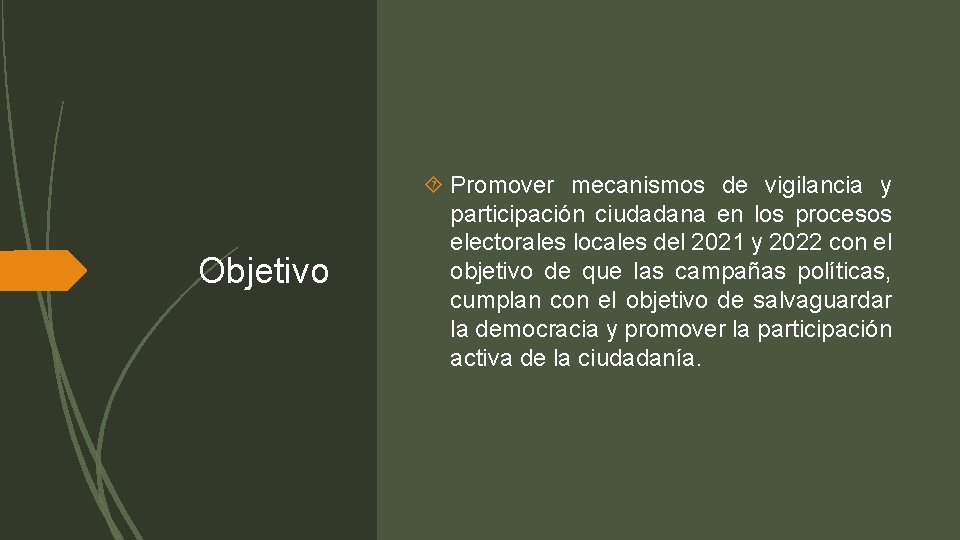 Objetivo Promover mecanismos de vigilancia y participación ciudadana en los procesos electorales locales del