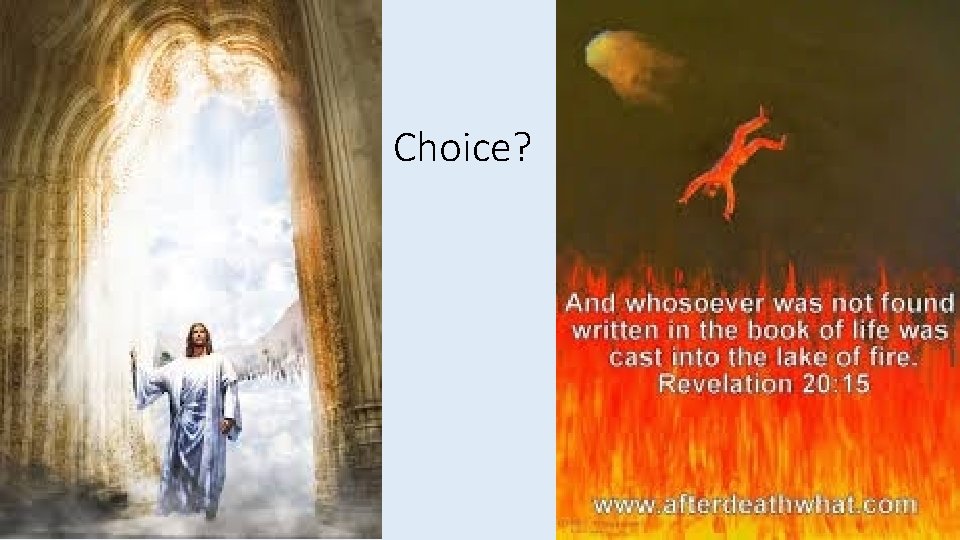  Choice? 