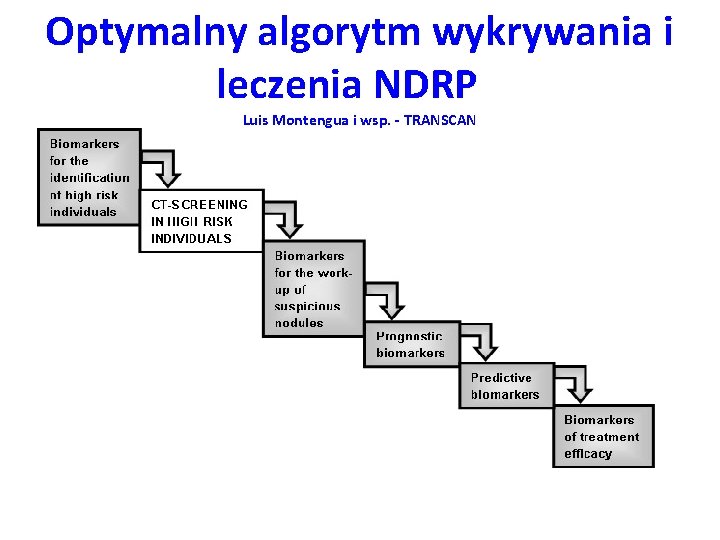 Optymalny algorytm wykrywania i leczenia NDRP Luis Montengua i wsp. - TRANSCAN 