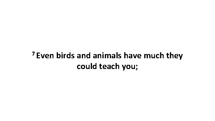 7 Even birds and animals have much they could teach you; 