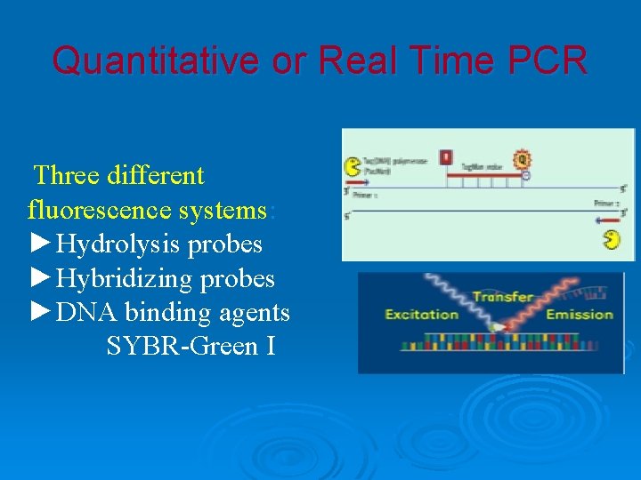 Quantitative or Real Time PCR Three different fluorescence systems: ►Hydrolysis probes ►Hybridizing probes ►DNA