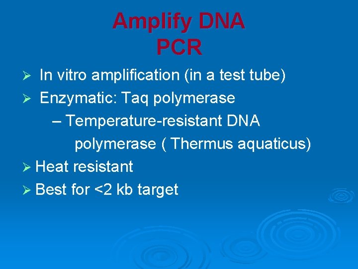 Amplify DNA PCR In vitro amplification (in a test tube) Ø Enzymatic: Taq polymerase