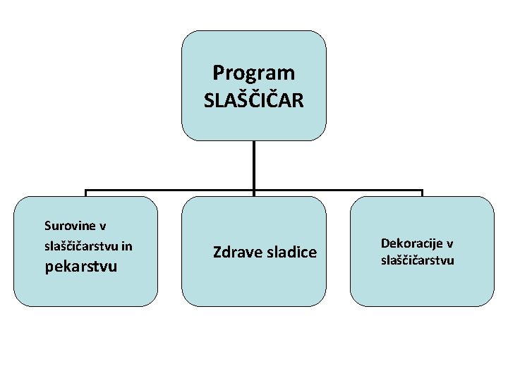 Program SLAŠČIČAR Surovine v slaščičarstvu in pekarstvu Zdrave sladice Dekoracije v slaščičarstvu 