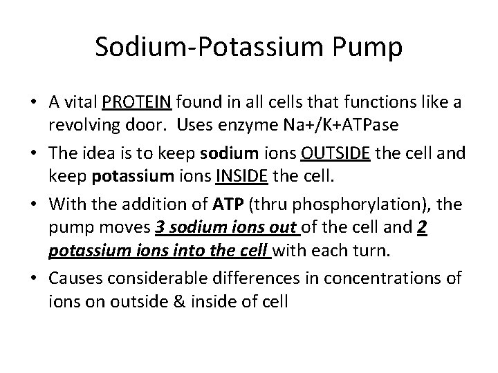 Sodium-Potassium Pump • A vital PROTEIN found in all cells that functions like a