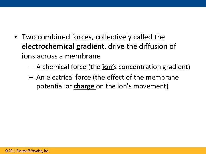  • Two combined forces, collectively called the electrochemical gradient, drive the diffusion of