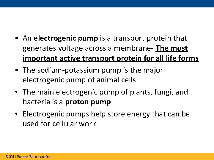  • An electrogenic pump is a transport protein that generates voltage across a