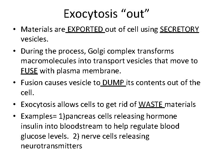 Exocytosis “out” • Materials are EXPORTED out of cell using SECRETORY vesicles. • During
