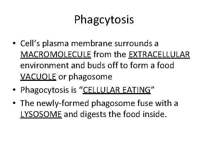 Phagcytosis • Cell’s plasma membrane surrounds a MACROMOLECULE from the EXTRACELLULAR environment and buds