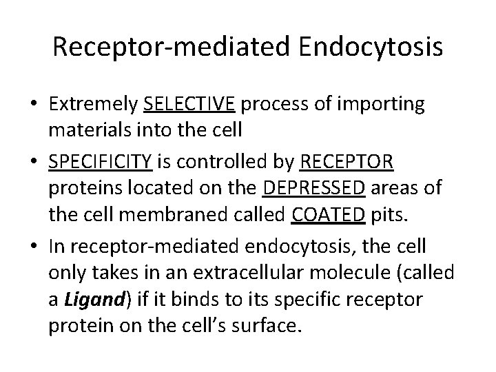 Receptor-mediated Endocytosis • Extremely SELECTIVE process of importing materials into the cell • SPECIFICITY