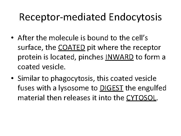Receptor-mediated Endocytosis • After the molecule is bound to the cell’s surface, the COATED