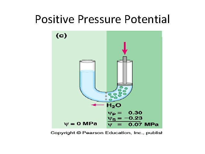 Positive Pressure Potential 