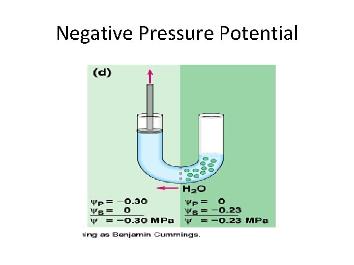 Negative Pressure Potential 