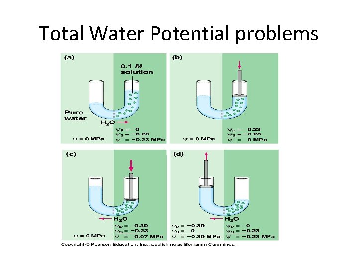 Total Water Potential problems 