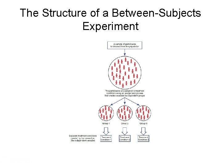 The Structure of a Between-Subjects Experiment 