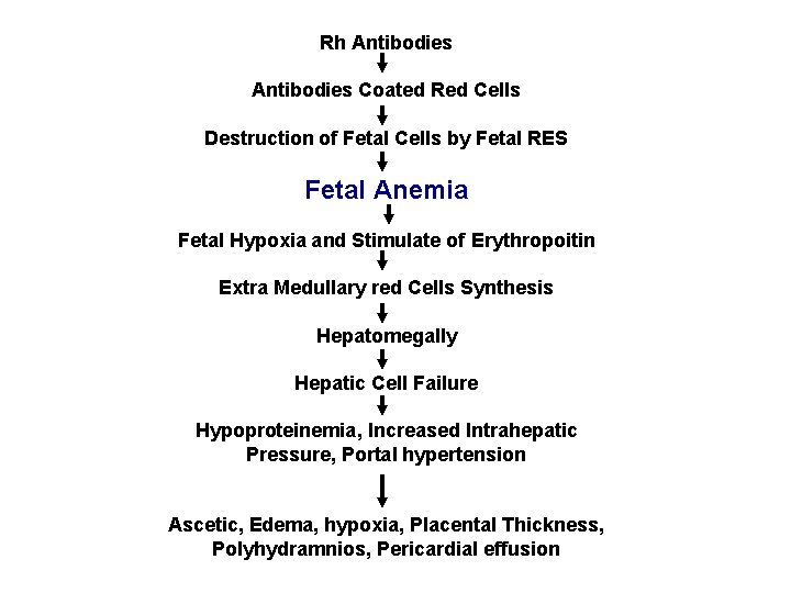 Rh Antibodies Coated Red Cells Destruction of Fetal Cells by Fetal RES Fetal Anemia