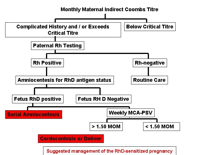 Monthly Maternal Indirect Coombs Titre Complicated History and / or Exceeds Critical Titre Below