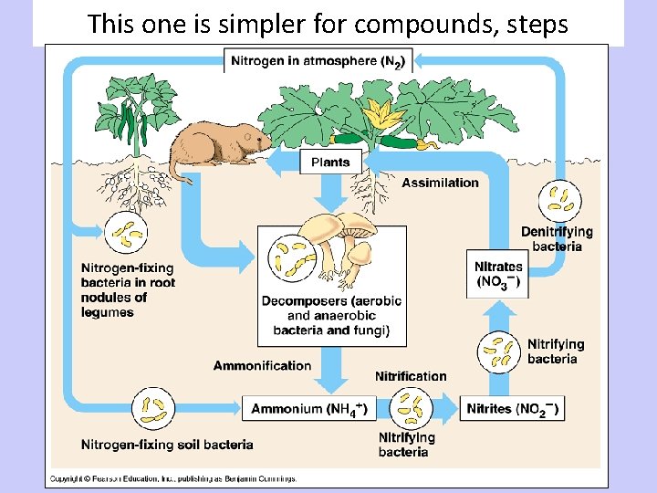 This one is simpler for compounds, steps 