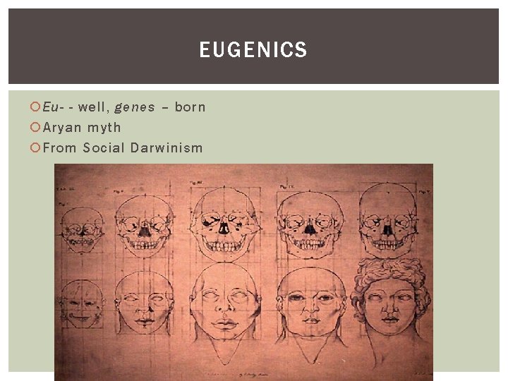 EUGENICS Eu- - well, genes – born Aryan myth From Social Darwinism 