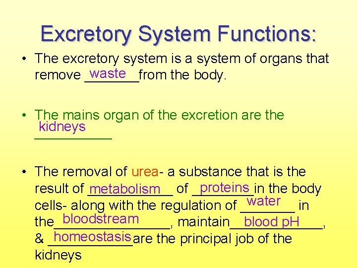 Excretory System Functions: • The excretory system is a system of organs that waste