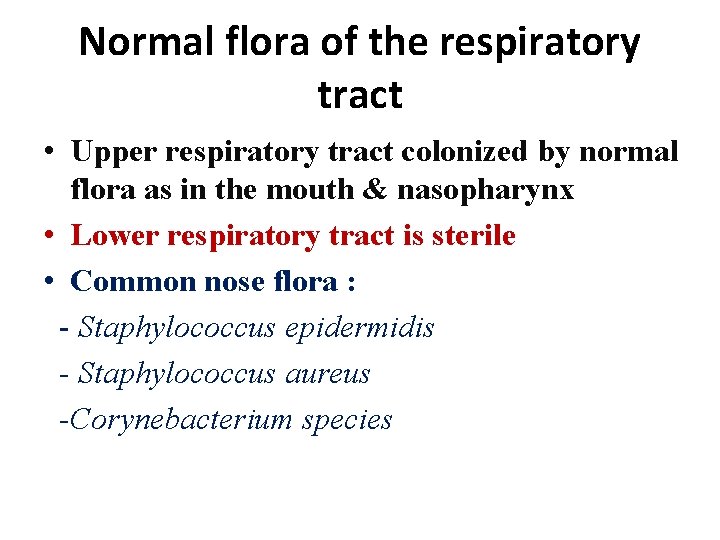 Normal flora of the respiratory tract • Upper respiratory tract colonized by normal flora