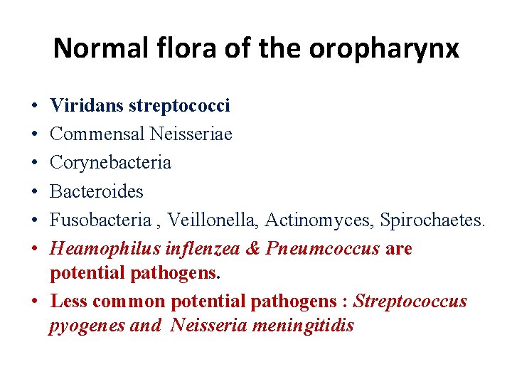 Normal flora of the oropharynx • • • Viridans streptococci Commensal Neisseriae Corynebacteria Bacteroides