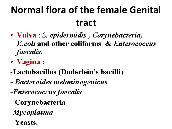 Normal flora of the female Genital tract • Vulva : S. epidermidis , Corynebacteria,