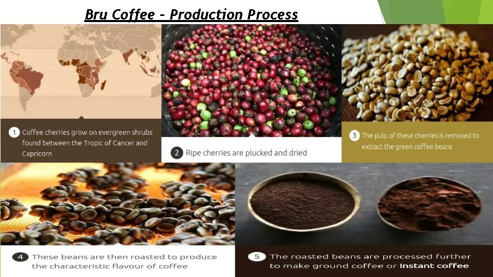 Bru Coffee - Production Process 