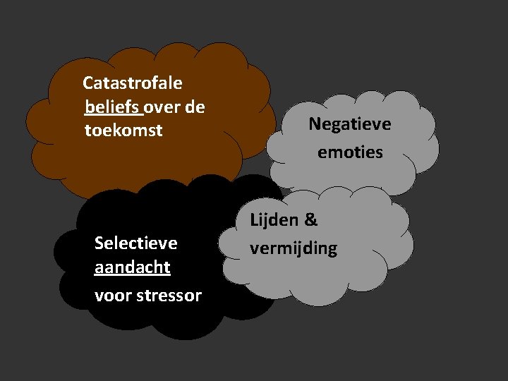 Catastrofale beliefs over de toekomst Selectieve aandacht voor stressor Negatieve emoties Lijden & vermijding