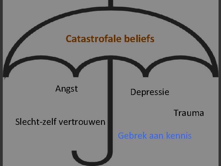 Catastrofale beliefs Angst Slecht-zelf vertrouwen Depressie Trauma Gebrek aan kennis 