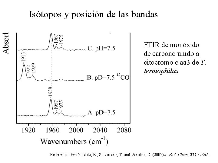 Isótopos y posición de las bandas FTIR de monóxido de carbono unido a citocromo