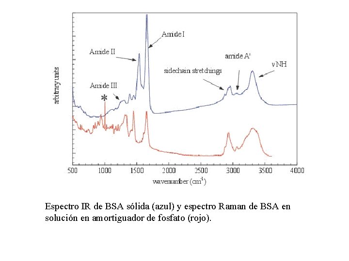 Espectro IR de BSA sólida (azul) y espectro Raman de BSA en solución en