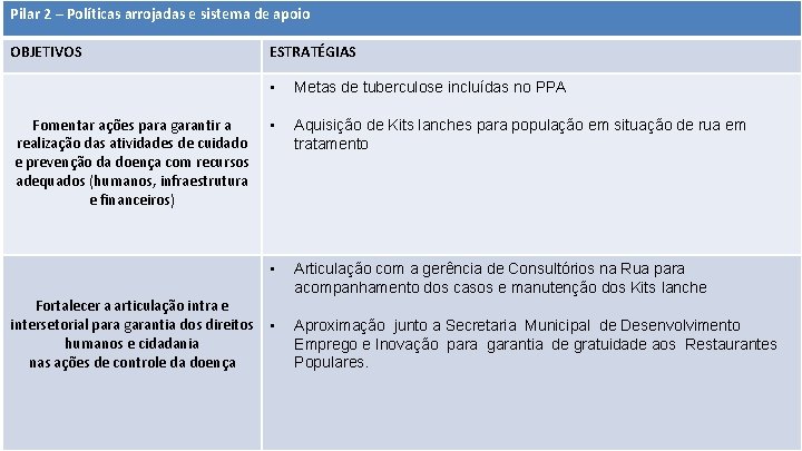 Pilar 2 – Políticas arrojadas e sistema de apoio OBJETIVOS Fomentar ações para garantir
