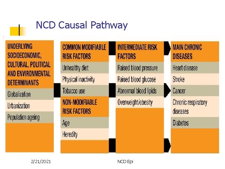 NCD Causal Pathway 2/21/2021 NCD Epi 20 