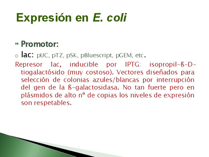 Expresión en E. coli o Promotor: lac: p. UC, p. TZ, p. SK, p.