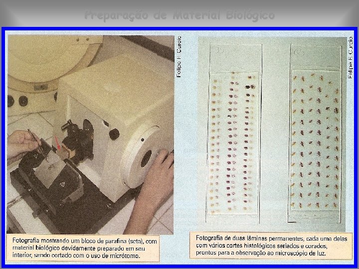 Preparação de Material Biológico 