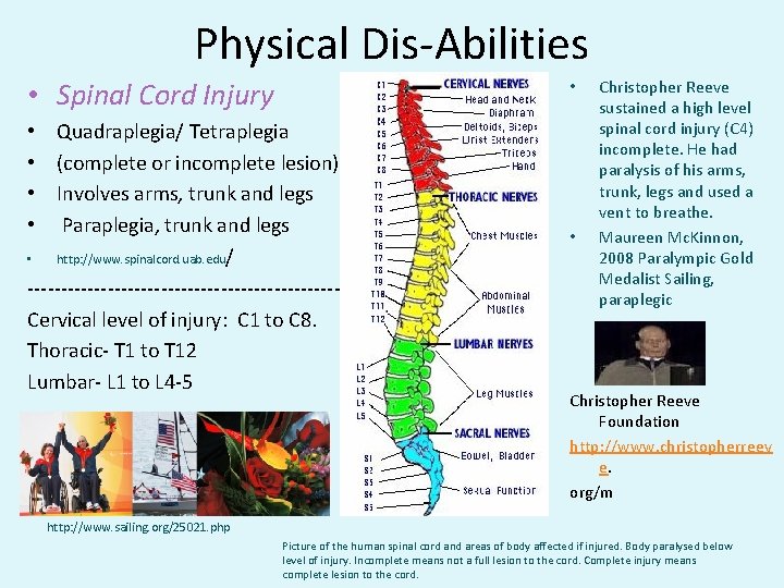 Physical Dis-Abilities • Spinal Cord Injury • • Quadraplegia/ Tetraplegia • (complete or incomplete