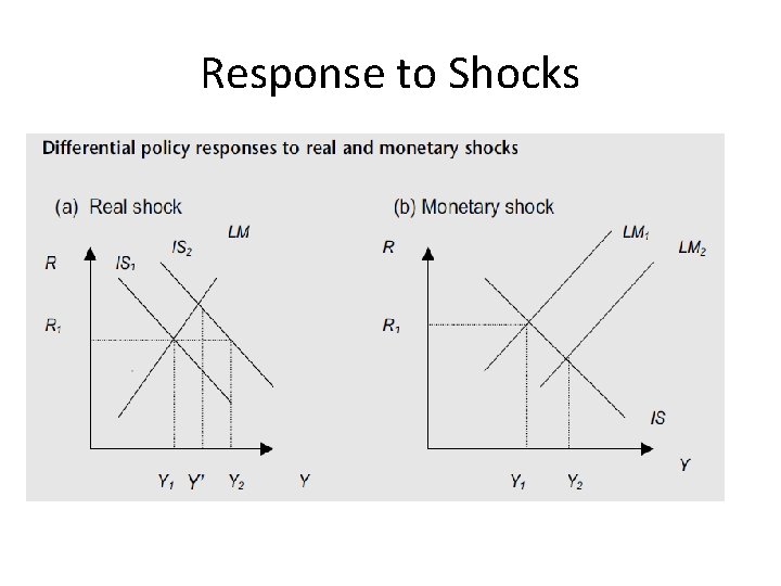 Response to Shocks 