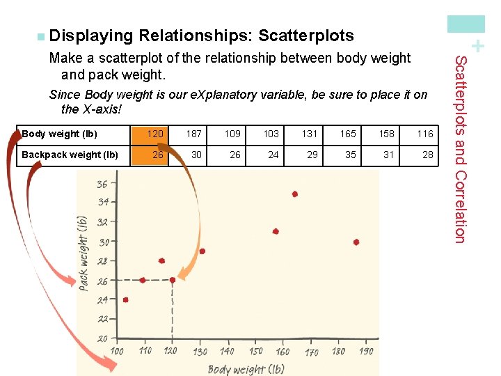 Relationships: Scatterplots + n Displaying Since Body weight is our e. Xplanatory variable, be