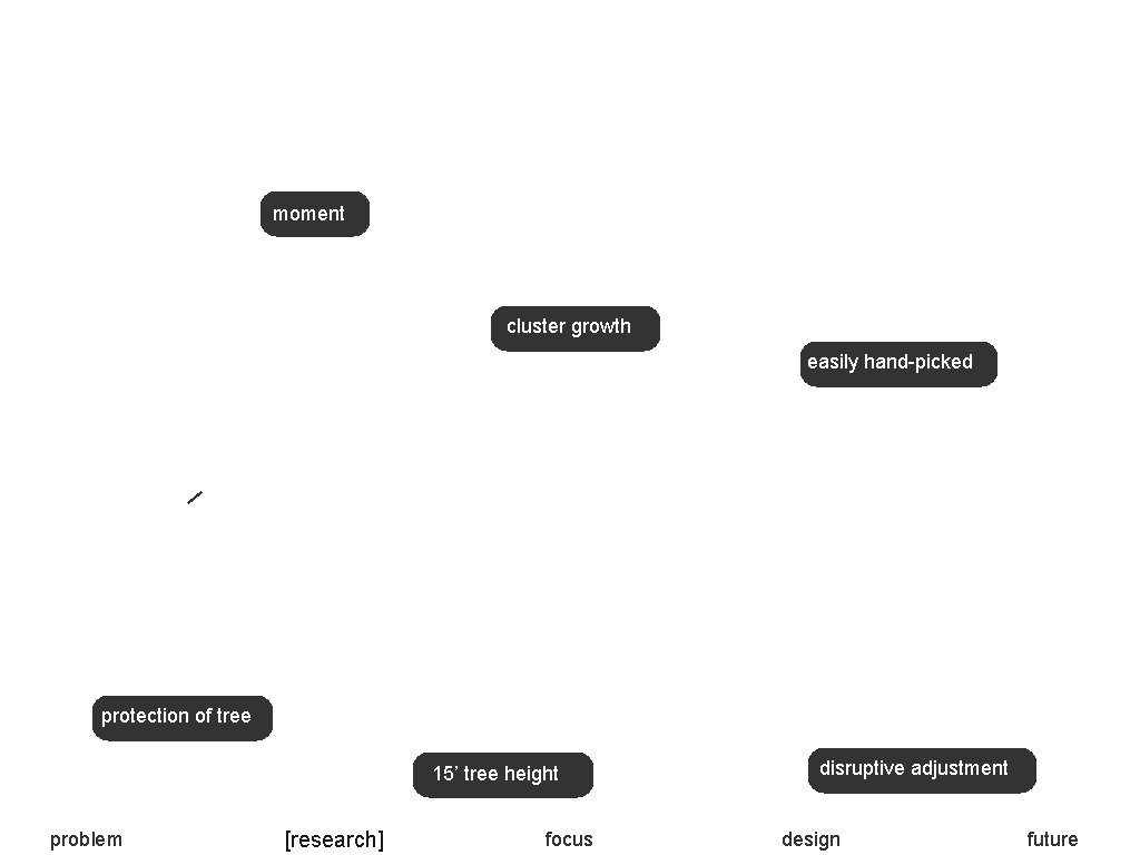 moment cluster growth easily hand-picked protection of tree 15’ tree height problem [research] focus